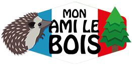 Mon ami le bois